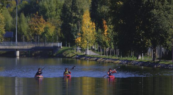 The Segre Olympic Park