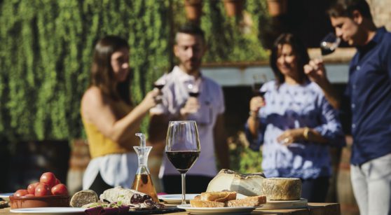 10 reasons to discover wine tourism in Catalonia