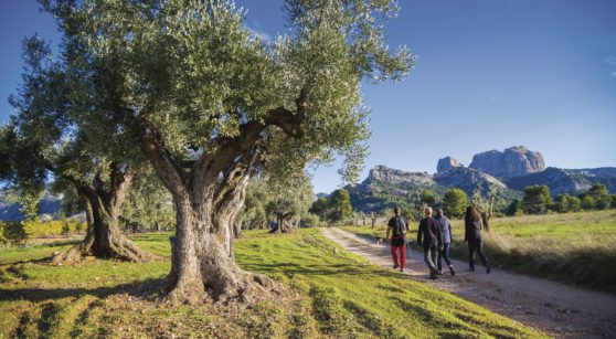 Seven must-do ecotourism activities in Catalonia