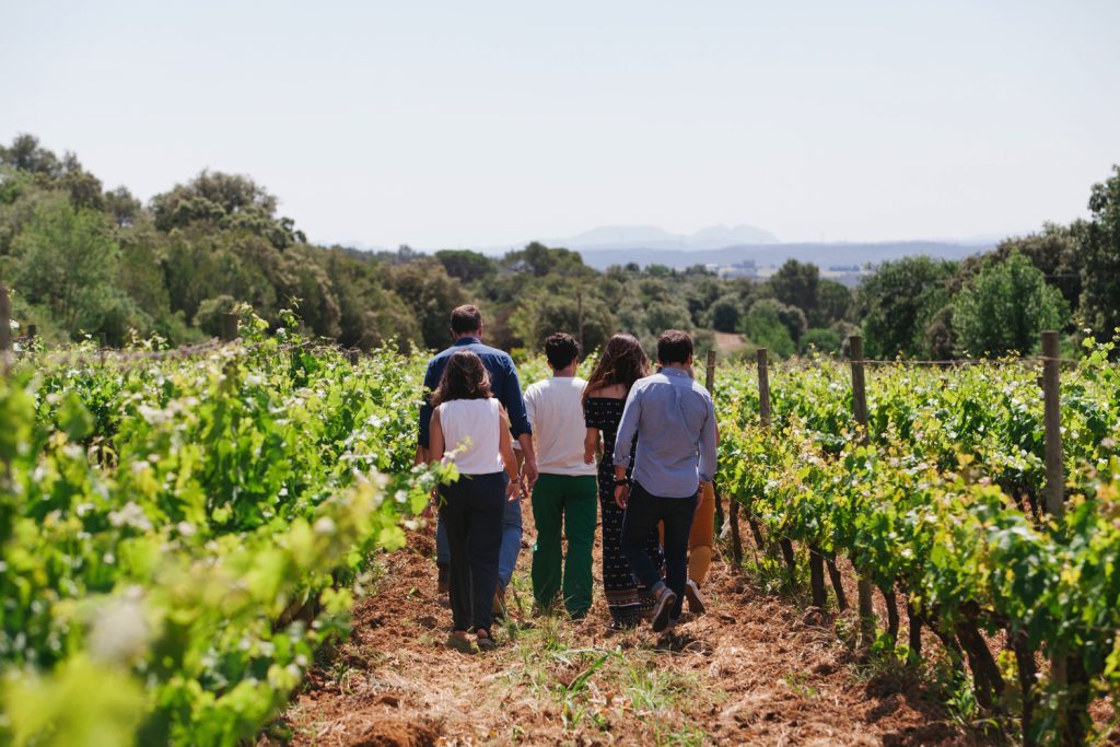 Celler Oller del Mas