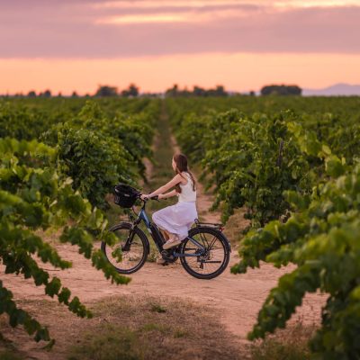 The most family-friendly wineries in Catalonia